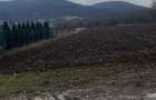 6700 MP TEREN ALBESTI- SIGHISOARA - 4