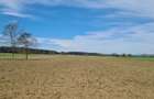 TEREN AGRICOL EXTRAVILAN - RECI - COVASNA - 3