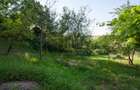 Casă individuală cu teren generos 1.400 mp | Sfântu Gheorghe - 9