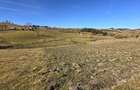 Teren extravilan, 4130mp, cu parau, la 500m de Primaria Marisel - 4