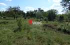 Teren intravilan | 2.810 mp|18ml|Zona Fratelia| - 5
