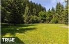 Cabană 160m² utili, teren 2253m², Salard, Mureș!