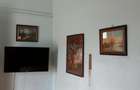 CI557 Lunei-Printul Turcesc,3 camere,Et.1,centrala - 12