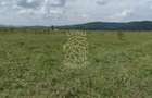 Teren 23700 mp (2,37 ha)-ideal investitie,cabana-Sesul Jelnei - 4