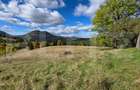 Teren 1,5 hectare - la Piatra Fantanele - 6