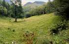 Teren extravilan 8635 mp, Pestera /Brasov - 5