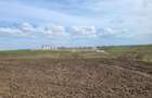 VANZARE TEREN PRUNDU INTRAVILAN AGRICOL GIURGIU POTENTIAL - 6
