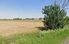 Teren Intravilan, 17500 mp, Sag, Timis, DN69 - 4