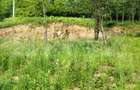 Teren zona de munte 1800 mp, cu apa de izvor, la Somesu Rece - 4