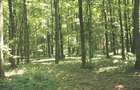 TUNARI, cu acces din Sos. de Centura, 187.000 mp teren - 4