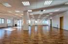 Spatiu birouri  zona Vlahuta  ITC - 10