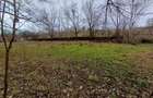 Resita, Teren Drept Intravilan, Langa Prau si Drum, Parcelabil, 4500 Mp., 15 Eur - 17