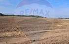 Teren 21,177mp Santaul Mic / Strada - - 3