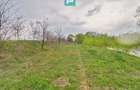 Teren 1 ha cu baltă populată – Alioș (Mașloc) - 5