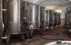 CRAMĂ PREMIUM DE VÂNZARE -60 HA- CONAC ISTORIC- PODGORIA DRĂGĂȘANI - 15