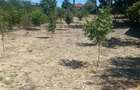 Oportunitate de investitie || teren de vanzare || 933 mp Prahova || - 6