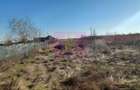 Săbăreni, teren intravilan construibil, cu utilităti in apropiere - 5