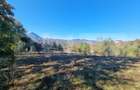 Teren pentru casute de vacanta - Poiana Marului - vedere la M. Piatra Craiului - 2