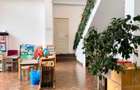 Vilă individuală 17 camere, 850 mp teren | Grădiniță / clinică | Iancu Nicolae - 9