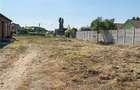 RECO Teren intravilan 609 mp cu utilitati, Biharia - 3
