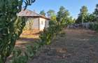 Casă de vânzare în comuna Făcăeni, județul Ialomița – teren 2600 mp, casă nouă, 