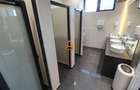 Spatiu comercial - Birouri - 1300 mp - 3000 mp - Carrefour Felicia - 4