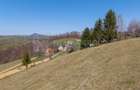 🌿 Teren Intravilan 3.791 mp | Priveliște Panoramică Superbă | Poiana Mărului - 21