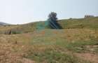 Teren intravilan, 3000 mp, în Corușu! - 3