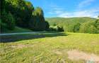 Teren Intravilan 12000 mp, Cascada Urlatoarea, proiect aprobat pentru Resort, la - 12