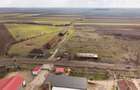 Fermă cu teren intravilan de 35000 mp în Mișca - 20