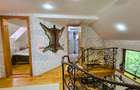 Proprietate Deosebita | Teren 3000 MP | Barbeque | Acces Padure |VIDEO - 19