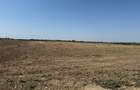 vand teren autostrada Bucurest Pitesti A1 30000 mp (3ha) cu deschidere la A1