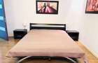 Penthouse  Mobilat / Terasa Superba / Parcare / Aviatorilor /Parc Regele Mihai I - 22