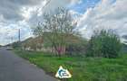 Casă cu 2 camere în stil tradițional, în Iratoșu - 4