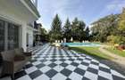 Vila individuala, teren 3000 mp, Iancu Nicolae - 11