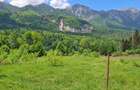 Teren intravilan, 1.724 mp, zona Sinaia - 1