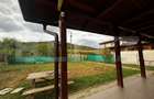 Casă individuală, 92 mp, 500 mp teren, zona Bărdești - 3