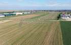 Teren intravilan de vanzare, 66400 mp, langa Oradea, Bihor - 14
