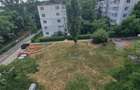 Apartament 1 camera Alexandru-Parcul voievozilor - 6