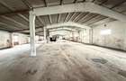 HALE INDUSTRIALE | CLADIRE BIROURI | TEREN 7000 MP | GHEGHIE BIHOR - 4