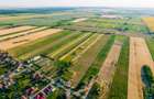 Teren de 50 ha compact în Bujac - 9