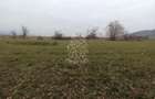 Teren 19611 mp (1,96 Ha)-ideal agricultura, investitie-Zona Aerodrom - 2
