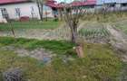 Casa de vanzare CELARU-APELE VII Dolj teren 8481 mp - 6