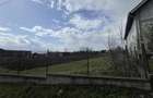 RECO ,teren intravilan in Tinaud,Bihor - 7
