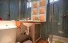 Inchiriere apartament cochet in Complerxul studentesc - 16