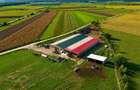 FILM! 18.000 mp, extravilan, agricol+ constructii:ferma,investitii agricole, Rot - 3