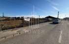 Oportunitate rară în Cristian, Sibiu – teren de 700 m² - 2