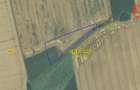 Teren agricol extravilan de vanzare, 2,69 hectare - Jebel Timis - 1