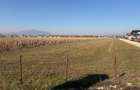 S.C Vimak Imobiliare vinde teren intravilan Stupini. - 1
