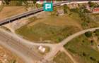 Teren intravilan 10.000 mp. în Pauliș - 6